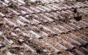 Watherston roof cleaning companies